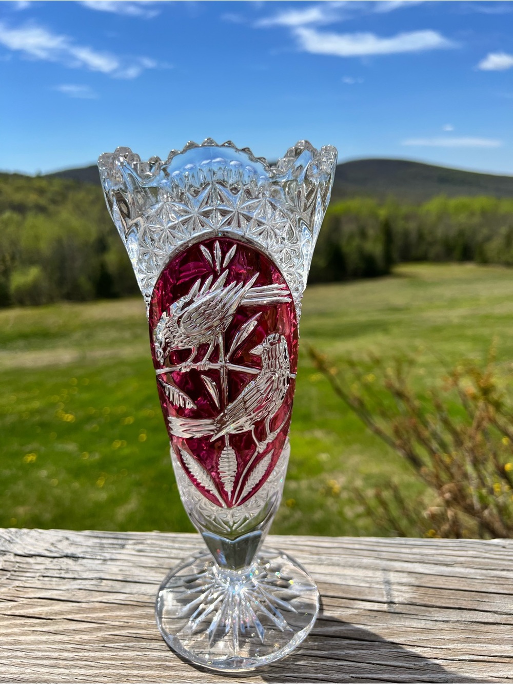 Vintage Discontinued Hofbauer “Byrdes” German Lead Crystal Vase